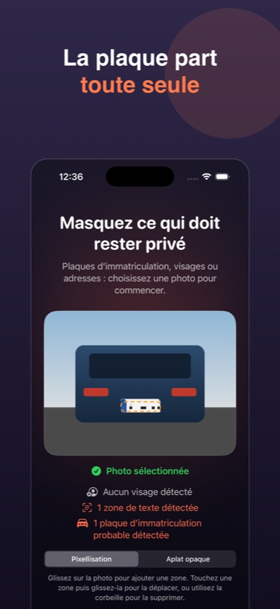Plaque détectée et pixellisée