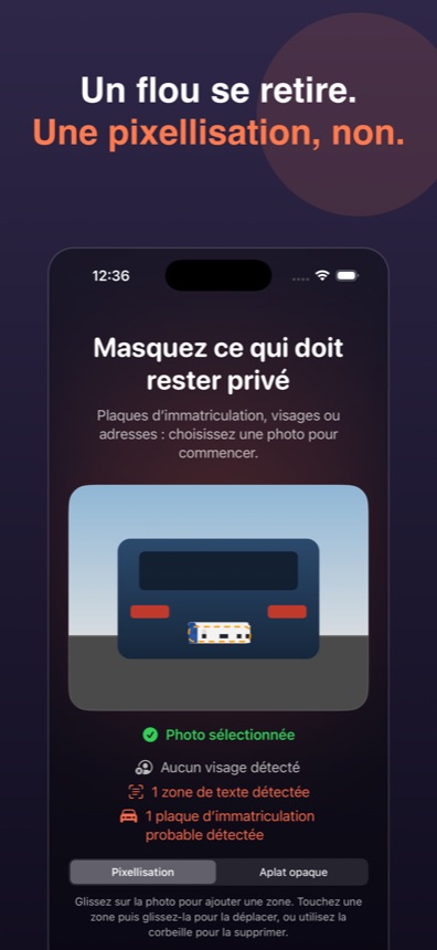 Pixellisation ou aplat opaque